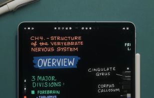 Flow by Bonobo screenshot 1