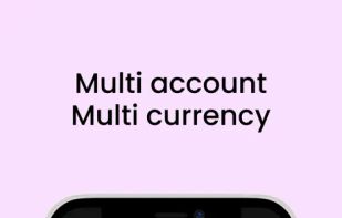 Flow Expense Tracker screenshot 2