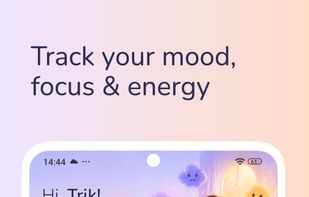 Make quick daily check-ins to track your mood, focus, energy and flow.