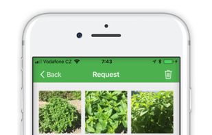 FlowerChecker screenshot 3