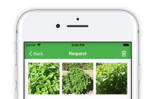 FlowerChecker screenshot 1