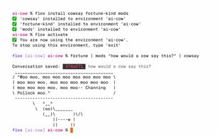 Flox.dev screenshot 1