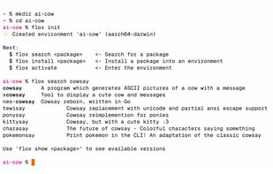 Flox.dev screenshot 1