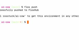 Flox.dev screenshot 2