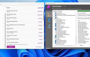 Fluent Cleaner screenshot 1