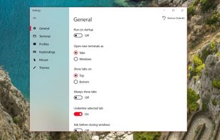 Fluent Terminal screenshot 1