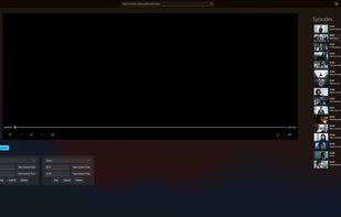 FluentFin screenshot 2