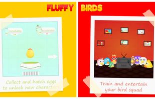 Fluffy Birds : Pet Life screenshot 2