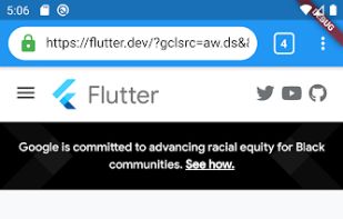 Flutter Browser screenshot 1