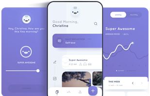 Flutter screenshot 1