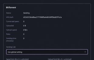 BitTorrent details — prepared English panel preview showing seeding rules, bandwidth controls and peer limits.