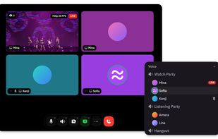 Fluxer screenshot 2