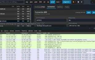 Raw pcap capture are linked to the corresponding HTTP session and contains NSS key log datas to view in plain with wireshark or similar tool