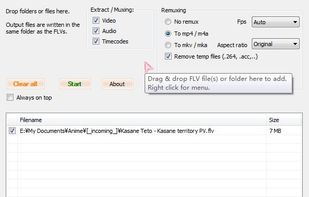 FLV Extract screenshot 3