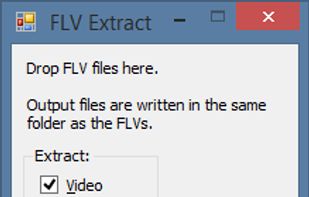 FLV Extract screenshot 2