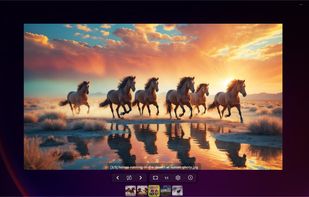 Fly Photos screenshot from the official GitHub repo as of 9th October 2025