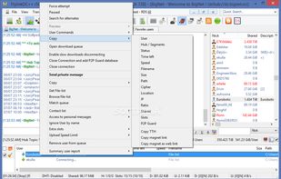 FlylinkDC++ screenshot 1