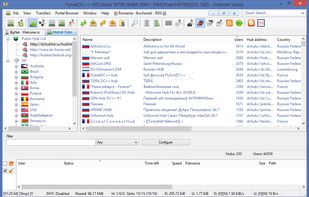 FlylinkDC++ screenshot 1