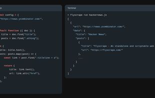 Flyscrape screenshot 1