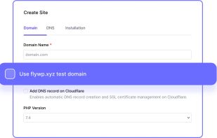 flywp.xyz test domains