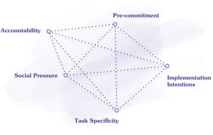 Powered by
tribal psychology