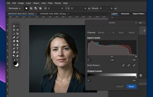 Fog Panther screenshot 1