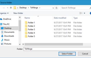 Folder Merger screenshot 2