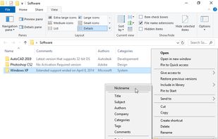 The program integrates into the context menu