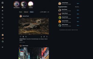 Home feed