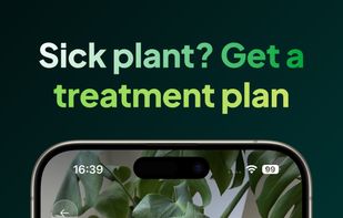 Folly: Plant Identifier & Care screenshot 2
