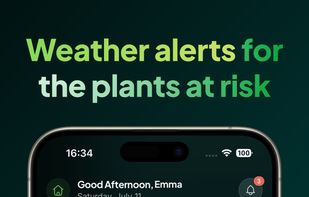 Folly: Plant Identifier & Care screenshot 3