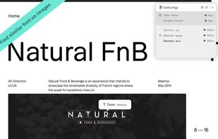 Fonts Ninja screenshot 2