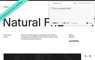 Fonts Ninja screenshot 3