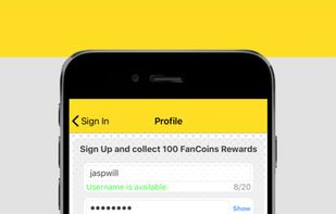 Football Fan screenshot 1