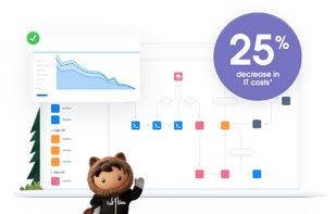 Salesforce Platform screenshot 1