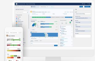 Salesforce Platform screenshot 1