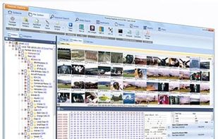 Forensic Explorer screenshot 1