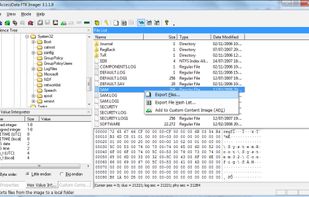 Forensic Toolkit FTK screenshot 1