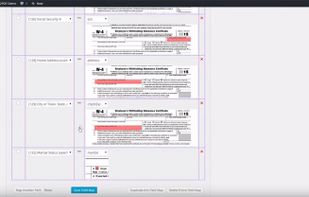 Formidable PRO2PDF screenshot 1