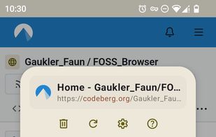 FOSS Browser screenshot 1