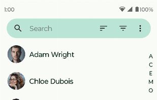 Fossify Phone screenshot 3