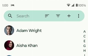 Fossify Phone screenshot 2