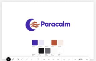 Canvas for the first logo, colors and brand brief