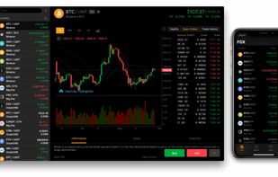 Fox.ONE screenshot 1