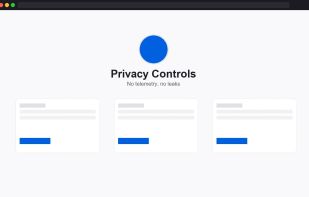 FoxAI Browser screenshot 3