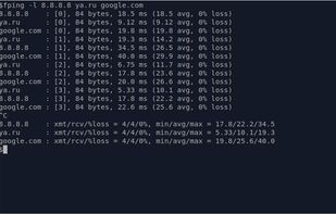 Fping (open source) screenshot 1