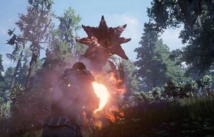 Fragmented screenshot 1