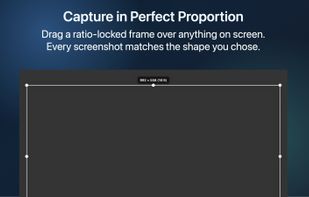 CMD-OPT-F let's you take a screenshot.