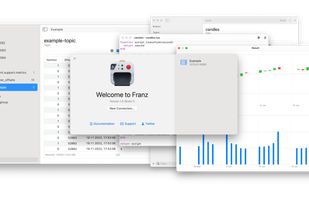 Franz Client screenshot 1