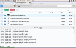 Free Download Manager screenshot 1